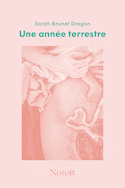 Une année terrestre